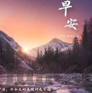 世界杯墨西哥支持率-世界杯墨西哥支持率，热情背后的故事